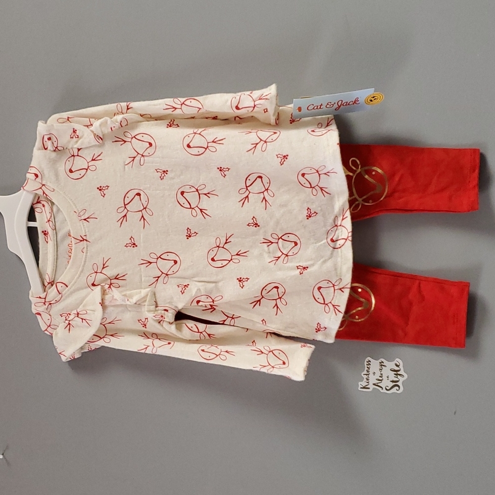 Toddler Girls' Reindeer Holiday Long Sleeve Top & Leggings Set